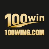 100wingcom